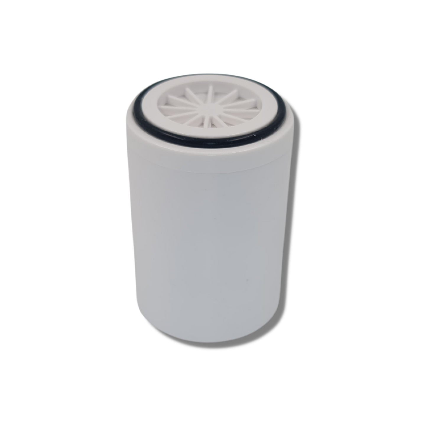 Duschfilter 1/2" mit Aktivkohle